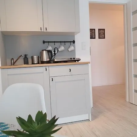Apartament Mewa Z Parkingiem * Władysławowo